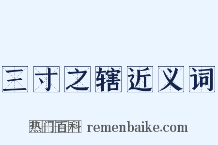 三寸之辖近义词是什么意思的图片